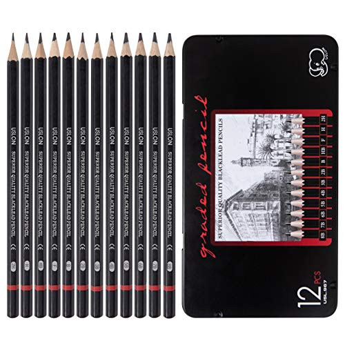 Professional Drawing Sketch Pencils Set of 12, Medium (8B - 2H), Ideal for Drawing Art, Sketching, Shading, Artist Pencils for Beginners & Pro Artists