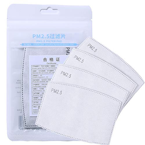hekarim PM 2.5 Activated Carbon Filter Insert, Replaceable Anti Haze Filter Paper (10PCS)