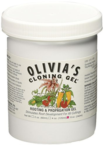 Olivia's Solution OCG8 8-Ounce Olivia's Cloning Gel for Plants