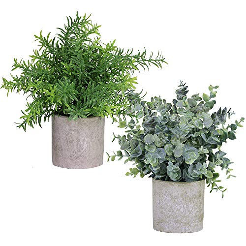 Winlyn 2 Pack Artificial Potted Plants Faux Eucalyptus & Rosemary Greenery in Pots Small Houseplants 8.3"-9" Tall for Indoor Greenery Tabletop Décor Centerpiece