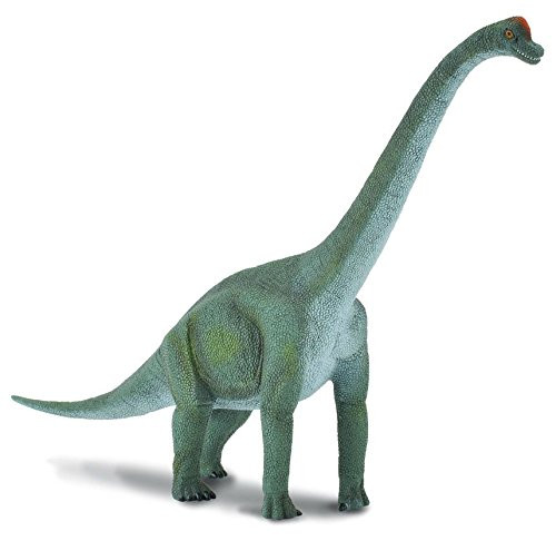 CollectA Prehistoric Life Brachiosaurus Toy Dinosaur Figure - Paleontologist Approved Hand Painted Model