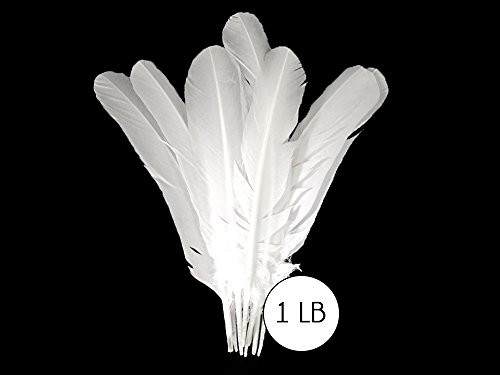 Moonlight Feather | 1 Lb - White Turkey Rounds Wing Quill Wholesale Feathers (Bulk) Halloween, Indian Craft, Wedding, Angel Wing Feathers Amazon