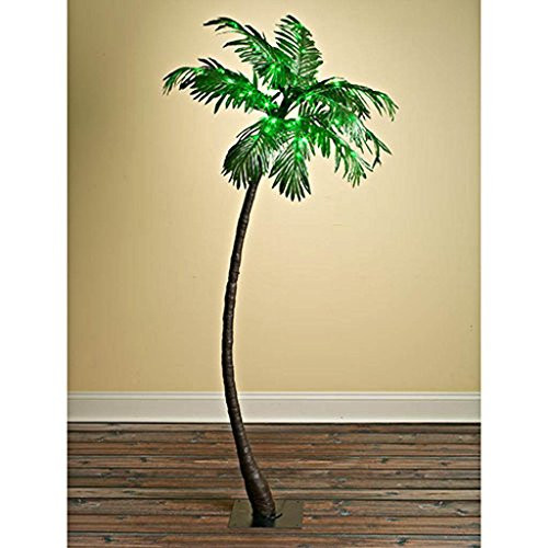 Gerson Everlasting Glow 92415030 Outdoor Electric Palm Tree with 56 Green LED Lights, 5'