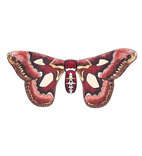 Magnificent Moth Wings, 48-Inch Wingspan, Rothschildia