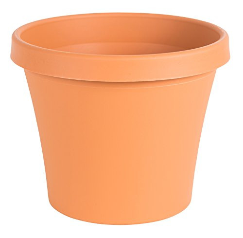 Bloem Terra Pot Planter 4" Terra Cotta
