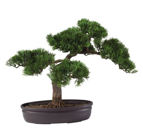 Nearly Natural 4106 16in. Cedar Bonsai Silk Plant,Green