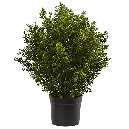 Nearly Natural 6880 2 Cedar Artificial Bush (Indoor/Outdoor), Green
