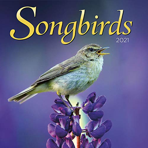 Turner Photo Songbirds 2021 Photo Wall Calendar (21998940052)