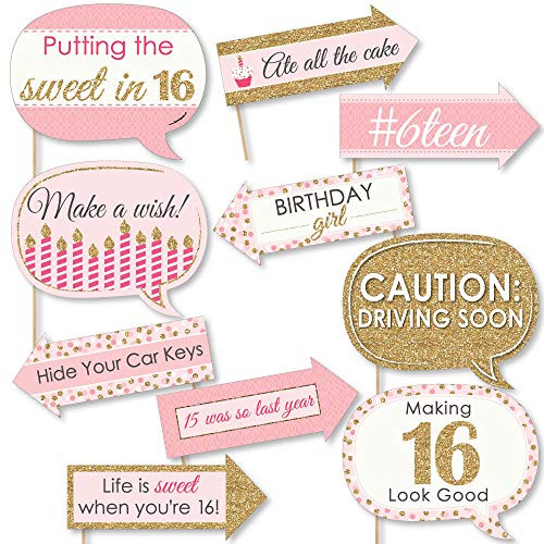 Big Dot of Happiness Funny Sweet 16-16th Birthday Party Photo Booth Props Kit - 10 Piece