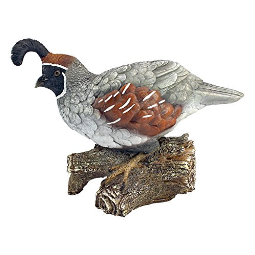 Design Toscano QM2385600  Coco The Quail Bird Statue,full color