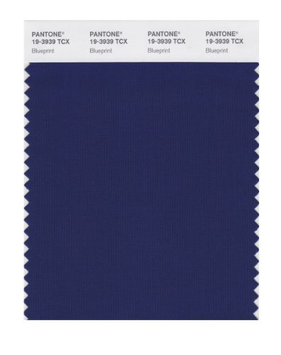 PANTONE Smart 19-3939X Color Swatch Card, Blueprint