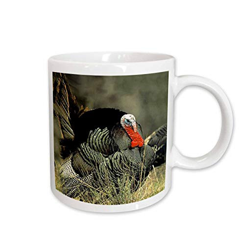 3dRose Wild Turkey Gobbler Mug, 15-Ounce