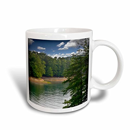 3dRose Lake Lanier Springs to Life in Georgia Peaceful Art Decor Ceramic Mug, 15-Ounce