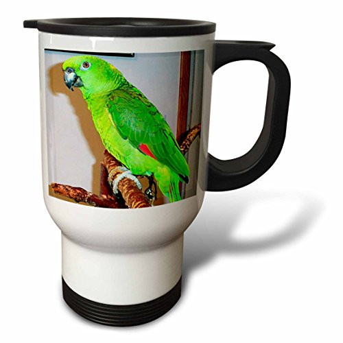 3dRose Black and White Springer Spaniel Travel Mug, 14-Ounce, Stainless Steel