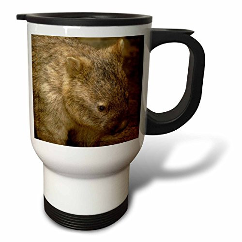 3dRose Common Wombat Marsupial Australia AU01 POX0109 Pete Oxford Travel Mug, 14-Ounce