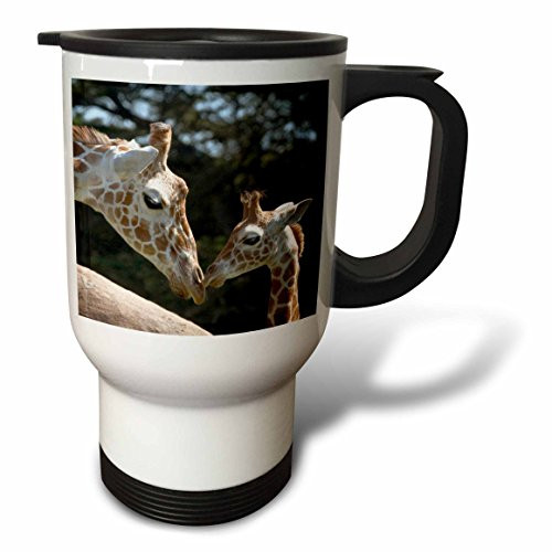 3dRose tm_88642_1 Reticulated Giraffes, San Francisco Zoo, CA US05 TAU0050 Tananarive Aubert Travel Mug, 14-Ounce, Stainless Steel