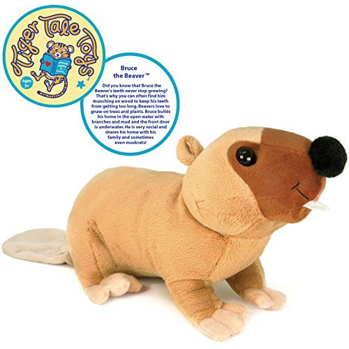 VIAHART Bruce The Beaver | 17 Inch Stuffed Animal Plush | by Tiger Tale Toys