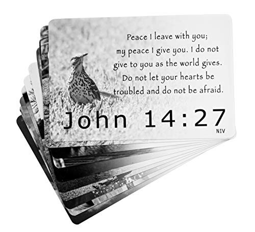 Peace Beyond Understanding Scripture Cards (10-Pack) NIV, Inspirational Memorization Bible Verse Cards of Encouragement