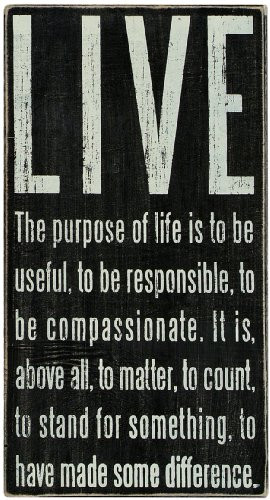 Primitives by Kathy Classic Box Sign, 15 x 8-Inches, Live