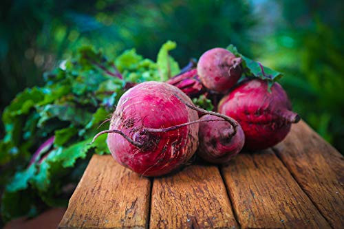 Detroit Dark Red Beet Seeds