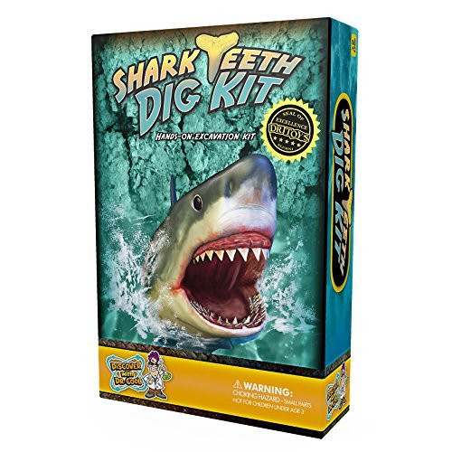 Discover with Dr. Cool Shark Tooth Dig Kit - Excavate 3 Real Shark Teeth Specimens!