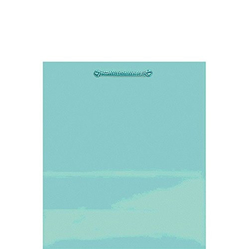 Robin's-egg Blue Solid Glossy Bag Medium