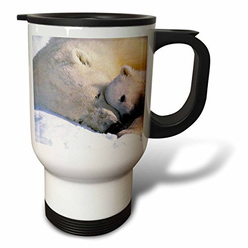 3dRose Staring Siberian Husky Travel Mug, 14-Ounce, Stainless Steel
