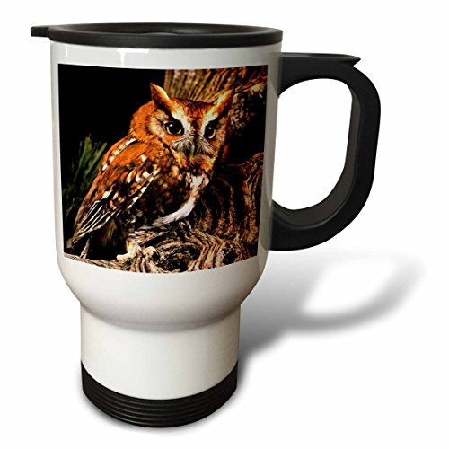3dRose Two Raccoons Travel Mug, 14-Ounce