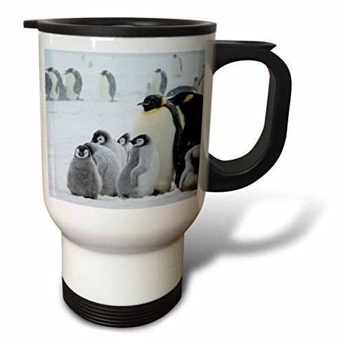 3drose Anne of Green Gables Home-PEI Canada-Cindy Miller Hopkins, Stainless Steel Travel Mug, 14-Oz 3drose Anne of Green Gables Home-PEI Canada-Cindy Miller Hopkins, Stainless Steel Travel Mug, 14-Oz