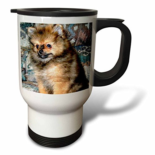 3dRose Roxy, Pomeranian Puppy Stainless Steel Travel Mug, 14-Ounce
