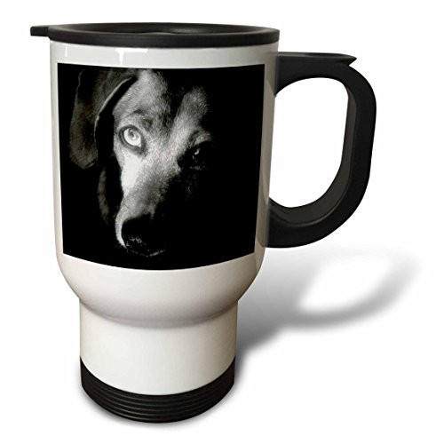 3dRose Black Dachshund Portrait Stainless Steel Travel Mug, 14-Ounce