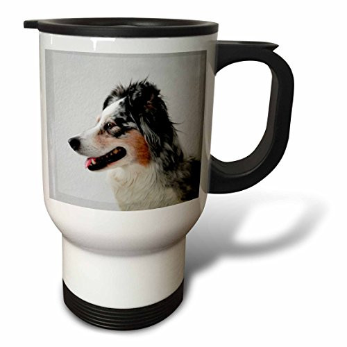 3dRose Australian Shephard Stainless Steel Travel Mug, 14-Ounce