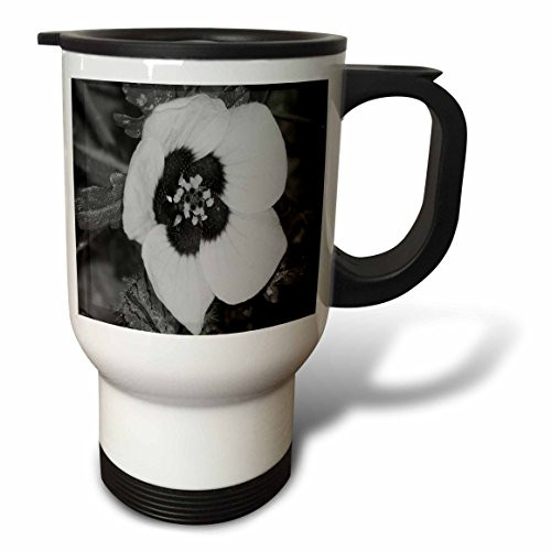 3dRose Wild Flower Black N White Stainless Steel Travel Mug, 14-Ounce 3dRose Wild Flower Black N White Stainless Steel Travel Mug, 14-Ounce