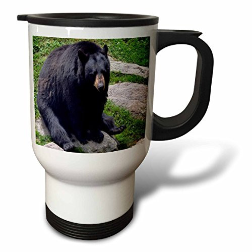 3dRose Black Bear North Carolina Bear Stainless Steel Travel Mug, 14-Ounce