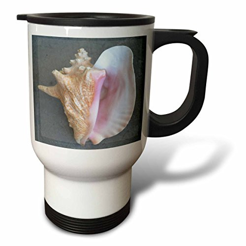 3dRose Conch Shell Stainless Steel Travel Mug, 14-Ounce
