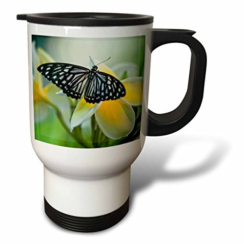 3dRose SD Lakota Indian Teepee Native American-Cindy Miller Hopkins, Travel Mug, 14-Oz 3dRose SD Lakota Indian Teepee Native American-Cindy Miller Hopkins, Travel Mug, 14-Oz