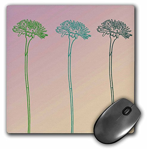 3dRose LLC 8 x 8 x 0.25 Dandelion Trio Flowers Floral Art Mouse Pad (mp_79279_1)