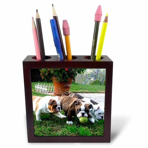3dRose ph_60013_1 English Bulldogs Play Ball-Tile Pen Holder, 5-Inch