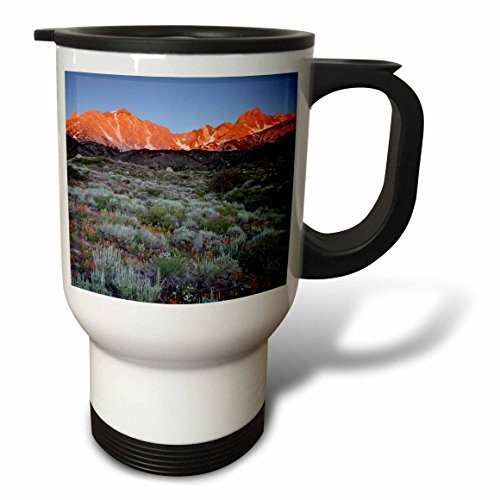 3dRose tm_88267_1 California, Sierra Nevadas, Wildflowers Us05 Bja0482 Jaynes Gallery Travel Mug, 14-Ounce, Stainless Steel