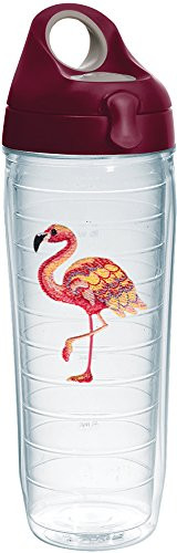 Tervis 1254501 Multi-Color Flamingo Tumbler with Emblem and Maroon Lid 24oz Water Bottle, Clear
