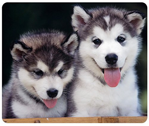 Siberian Husky Puppies Customized Rectangle Mousepad, Mouse Pad