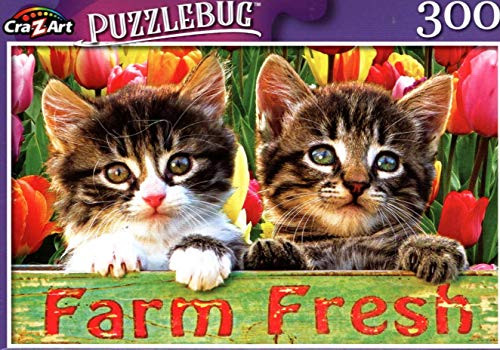 Tabby Kitten Friends - 300 Pieces Jigsaw Puzzle