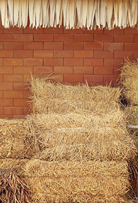 Yeele 3x5ft Rustic Haystacks Background for Photography - Countryside Hay Bales Straw Hayrick Brick Wall Photo Backdrop Autumn Harvest Festival Boy Kids Adult Portrait Shoots Props Yeele 3x5ft Rustic Haystacks Background for Photography - Countryside Hay Bales Straw Hayrick Brick Wall Photo Backdrop Autumn Harvest Festival Boy Kids Adult Portrait Shoots Props