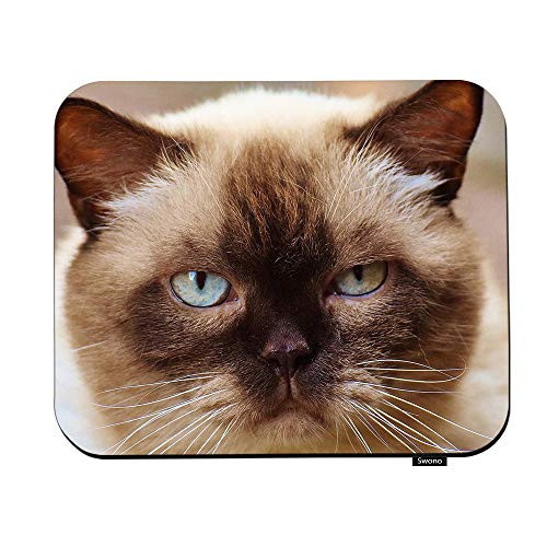 Swono Cat Mouse Pads Portrait of Fat Siamese Cat with Blue Angry Eyes Close-Up Mouse Pad for Laptop Funny Non-Slip Gaming Mouse Pad for Office Home Travel Mouse Mat 7.9"X9.5"
