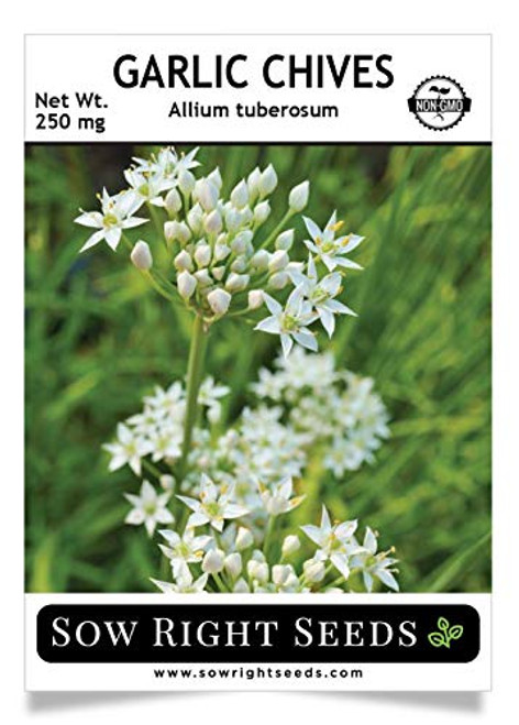 Sow Right Seeds - Garlic Chives Seed for Planting - Non-GMO Heirloom Seeds with Full Instructions for Planting an Easy to Grow Kitchen Garden, Indoor or Outdoor; Great Gift