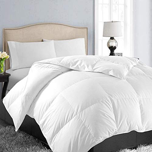 EASELAND All Season King Size Soft Quilted Down Alternative Comforter Hotel Collection Reversible Duvet Insert with Corner Tabs,Winter Warm Fluffy Hypoallergenic,White,90 by 102 Inches