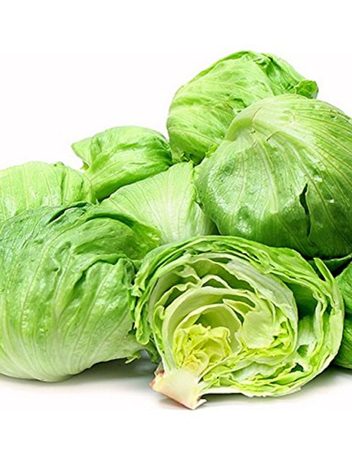 Iceberg Lettuce Garden Seeds, 1000+ Premium Heirloom Seeds, ON SALE! (Isla's Garden Seeds), Non Gmo Organic Survival Seeds, 85% Germination, Highest Quality Seeds, 100% Pure Iceberg Lettuce Garden Seeds, 1000+ Premium Heirloom Seeds, ON SALE! (Isla's Garden Seeds), Non Gmo Organic Survival Seeds, 85% Germination, Highest Quality Seeds, 100% Pure