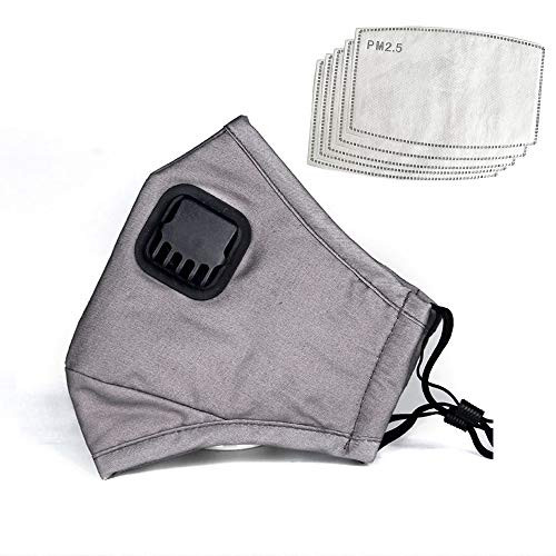 PM2.5 Anti Pollution Mask Military Grade N99 Washable Dust Respirator Cotton Anti-dust Mouth Masks with Replaceable Filters for Men and Women (1 Mask + 5 Filters) (Light grey)