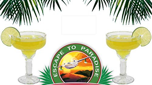 TopNotch Outlet Yucatan Margarita Glasses - Margarita Glasses - Go South of The Border with These Two 12oz Margaritavilles - Thick Margarita Glasses - Fun Drinking Glasses - Frozen Margarita Glasses