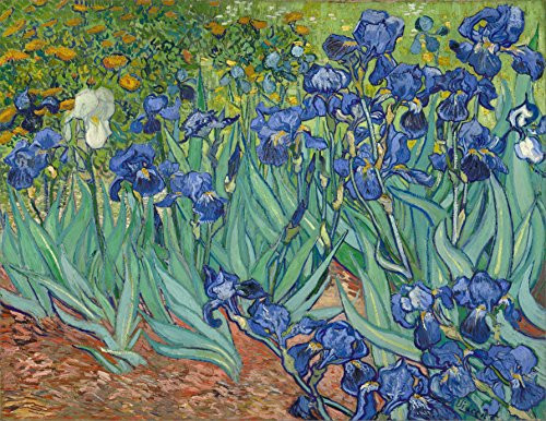 FKG Adult Jigsaw Puzzle Art Painting Vincent Van Gogh Irises 500-Pieces